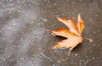 В Україні завтра буде хмарно, температура до +13