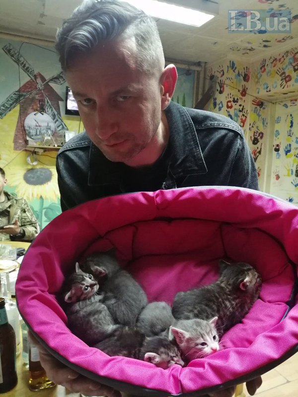 Кошенята в «Доміку», Карлівка