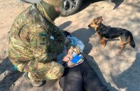 ​У Харкові затримали російського коригувальника, який шпигував за ЗСУ під виглядом прогулянок з собакою