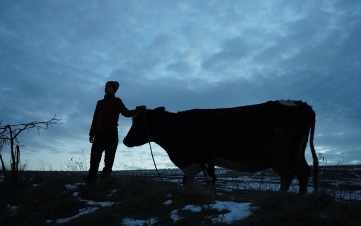 Кінозоопарк: альманах «Війна очима тварин» 