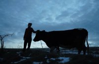 Кінозоопарк: альманах «Війна очима тварин»