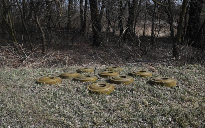 Польща виходить з Оттавської конвенції про заборону протипіхотних мін