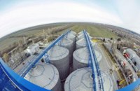Инвесторы из Сингапура и США построят в Одесской области два завода по переработке подсолнечника