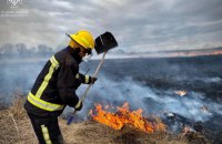 На Одещині дитячі пустощі з вогнем призвели до пожежі на площі 1,5 га, – ДСНС