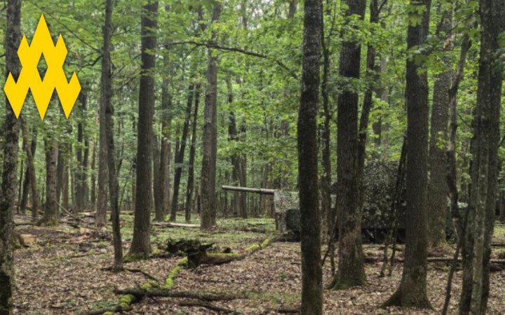 Партизани "Атеш" допомогли Силам оборони зірвати російський наступ під Вовчанськом