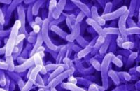У Західній Африці поширюється епідемія холери, є жертви