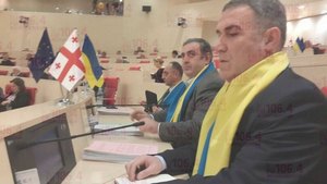 Грузинские парламентарии пришли на заседание в желто-голубых шарфах