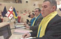 Грузинские парламентарии пришли на заседание в желто-голубых шарфах