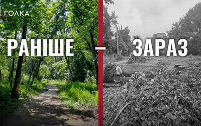 Вирубка лісосмуги на Теремках: небезпечний урядовий експеримент і хибний вибір між дубами і теплом 