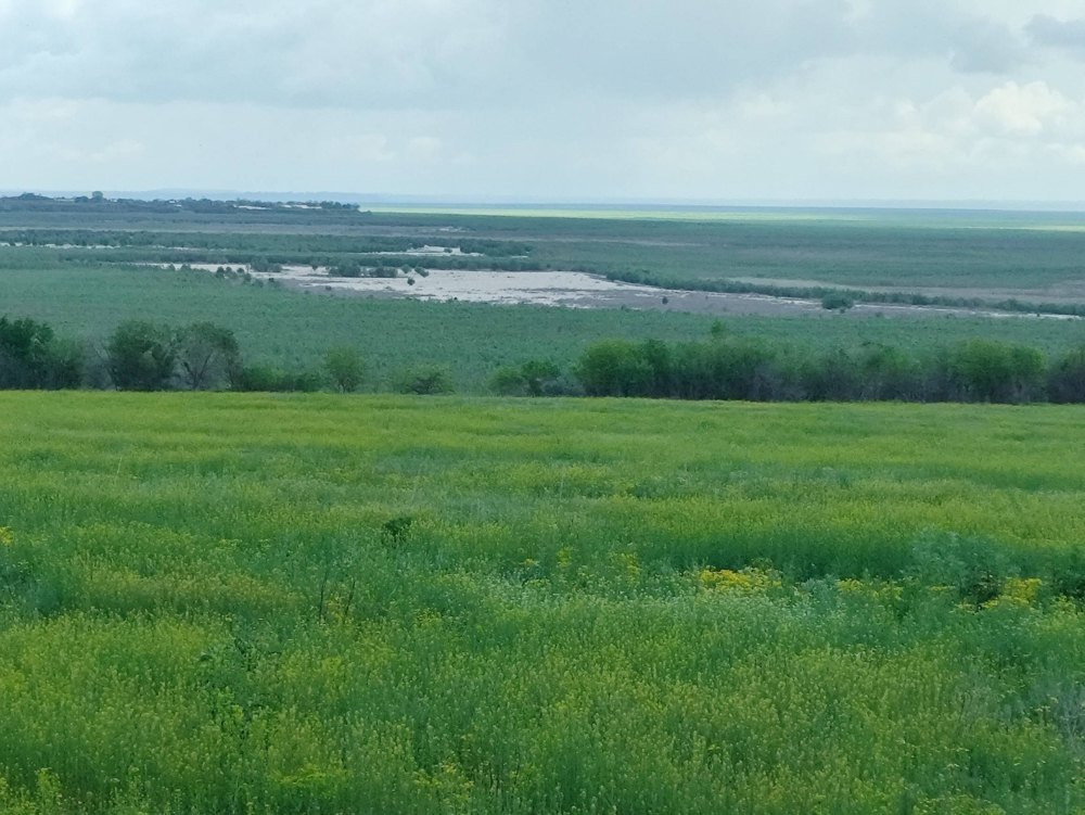 На дні Каховського водосховища, травень 2025 року
