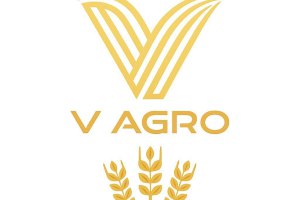 ТОВ «В Агро»