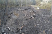 Через падіння уламків збитої російської ракети на Дніпропетровщині сталась пожежа