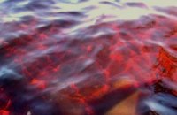 Вода в Азовском море стала кроваво-красной