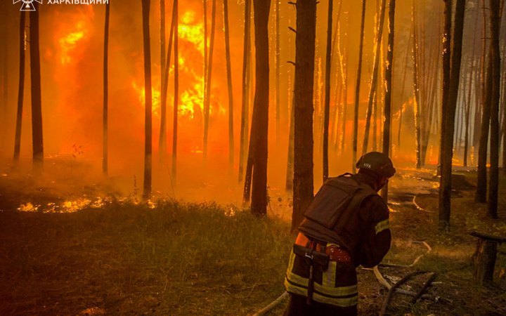 В Ізюмському районі Харківщини евакуйовують людей через масштабну лісову пожежу