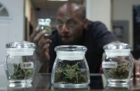 Власти голландского города запретили продавать марихуану иностранцам