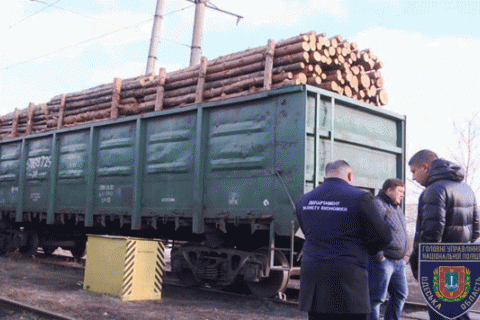 На границе с Молдовой нашли 19 вагонов с лесом-кругляком