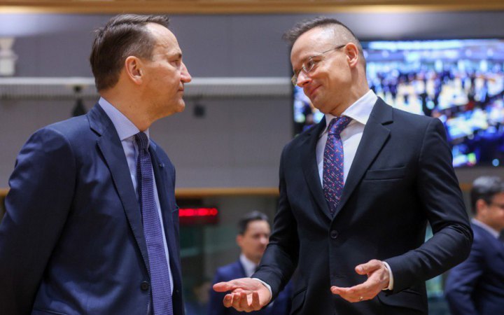 Сікорський пояснив, чому Польща не видала Німеччині підозрюваного українця