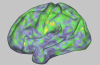 Парадокс невизначеності: чому мозок обирає найгірший сценарій і як це змінити
