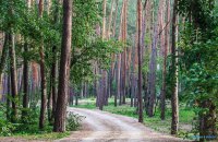 Інвестиціям у лісове господарство заважають бюрократія і зарегульованість, - радник Мінагрополітики