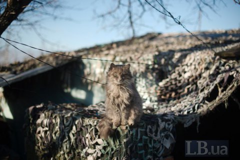 Сутки на Донбассе прошли без потерь
