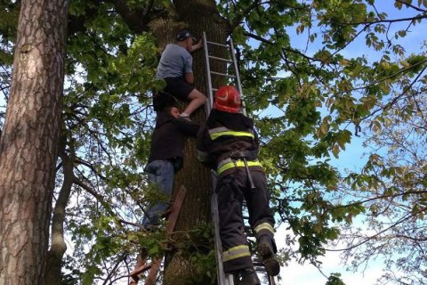 В Ровенской области спасатели сняли с дерева мужчину, который полез за котом, но не смог спуститься