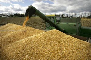 Урожай зерна в Украине установил абсолютный рекорд