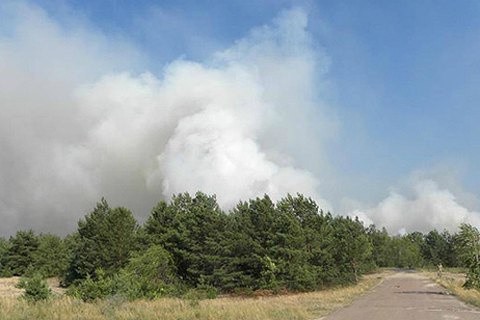 Біля військового полігону в Чернігівській області загорівся ліс (оновлено)