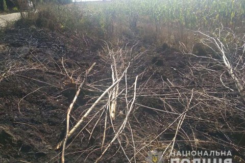 В Киевской области погибло два человека из-за возгорания сухостоя 