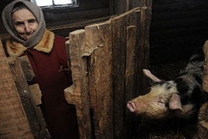 На западе Белоруссии в рамках учений сожгли свиней