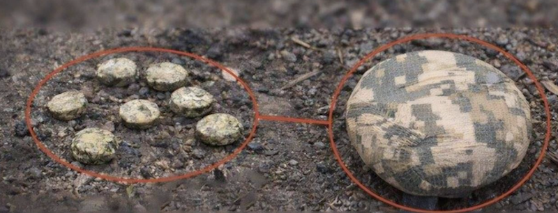 Міна типу Пряник 