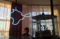 О чем молчит Крым в российских соцопросах