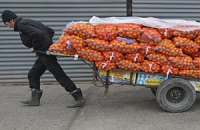 Абхазия резко сократила поставки мандаринов в Россию