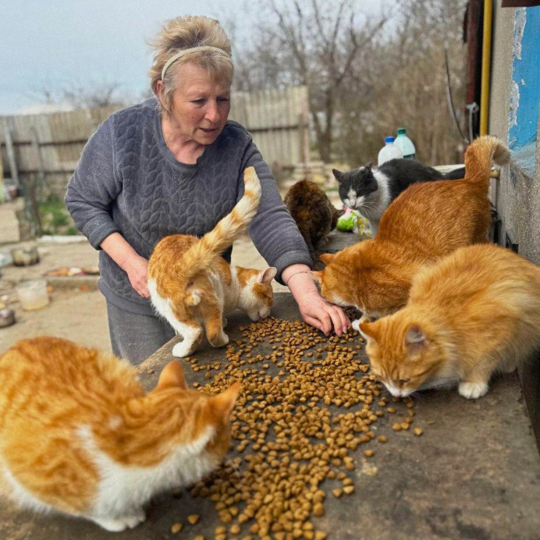 Місцева мешканка дбає про своїх тварин, покинутих, а також безхатніх, Херсонщина.