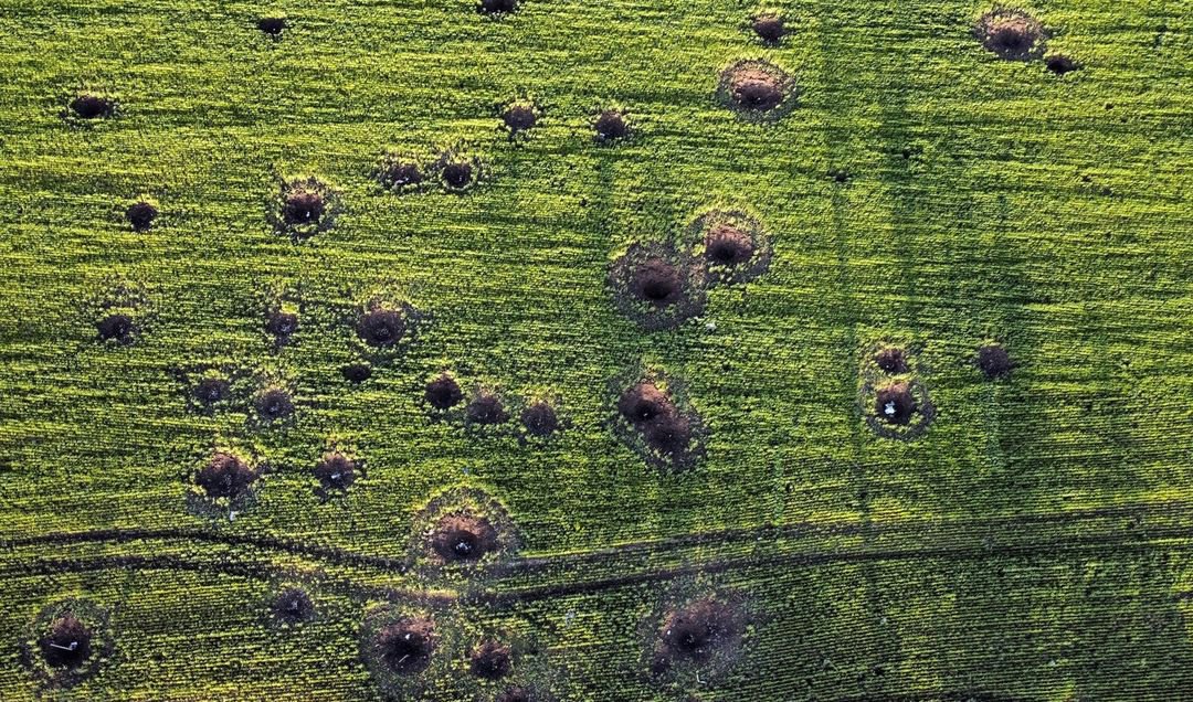 Воронки на полі біля села Мала Рогань Харківської області