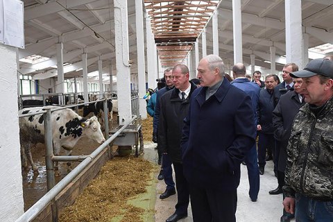 Лукашенко звільнив губернатора Могильовської області через "обісраних" корів