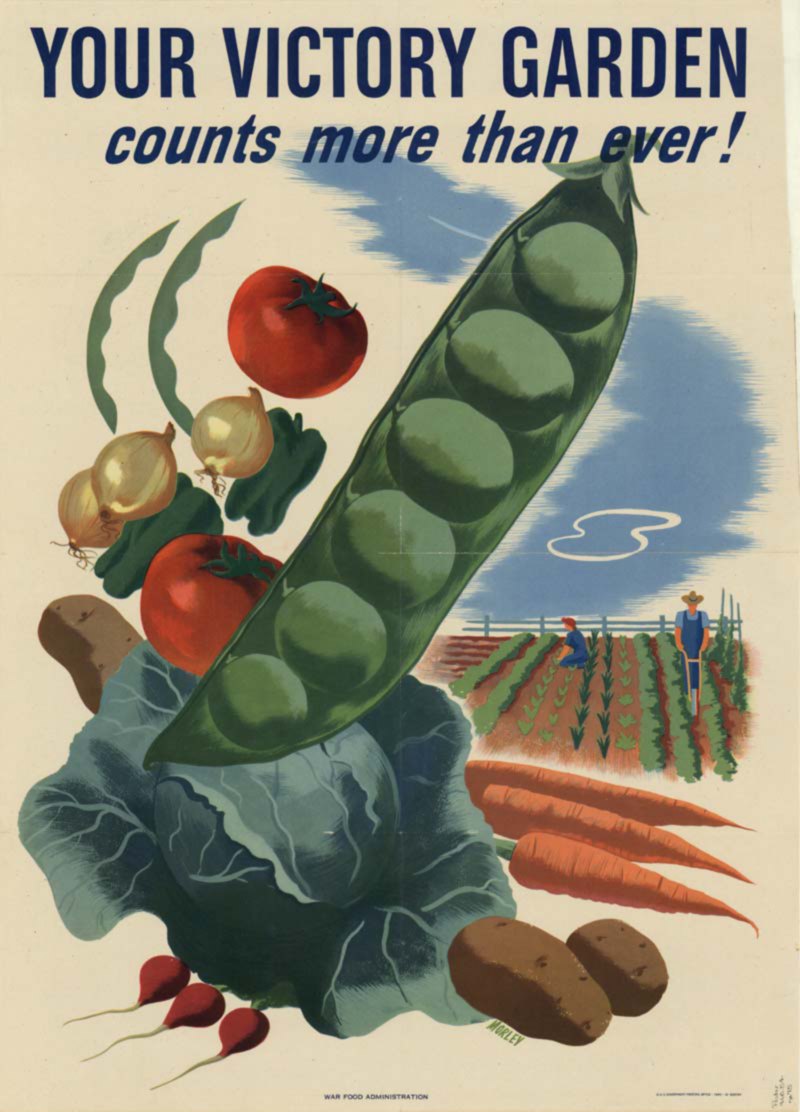Американський плакат часів Другої світової війни, який рекламує сади перемоги