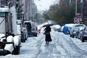 Жертвами снежного бурана в США стали 11 человек