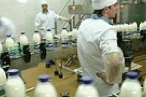 Еврокомиссия начала повторную проверку украинских  молочников