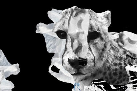 Кинофестиваль Docudays UA обзавелся трейлером