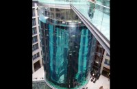 У Берліні луснув найбільший у світі циліндричний акваріум