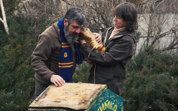 Харківський бабак Тимко побачив свою тінь: весна має настати за 6 тижнів