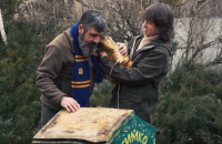 Харківський бабак Тимко побачив свою тінь: весна має настати за 6 тижнів