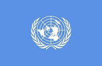 Совет ООН принял резолюцию о сотрудничестве и помощи Украине