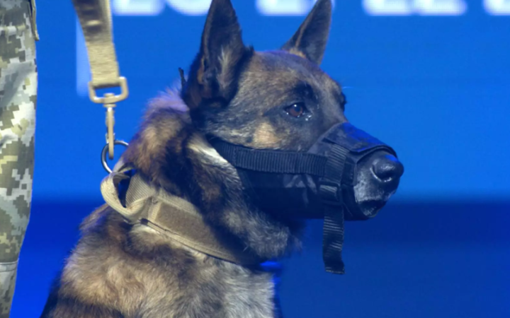 У Києві відбулася третя церемонія нагородження “Собаки-герої України”