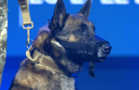 У Києві відбулася третя церемонія нагородження “Собаки-герої України”