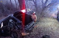 В Кировоградской области в ДТП погиб водитель