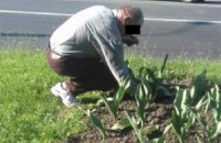 В Ровно патрульные заставили мужчину посадить обратно вырванные на клумбе цветы 