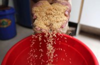 FT: Індія не може укласти торговельну угоду із ЄС через суперечку із Пакистаном через рис басматі