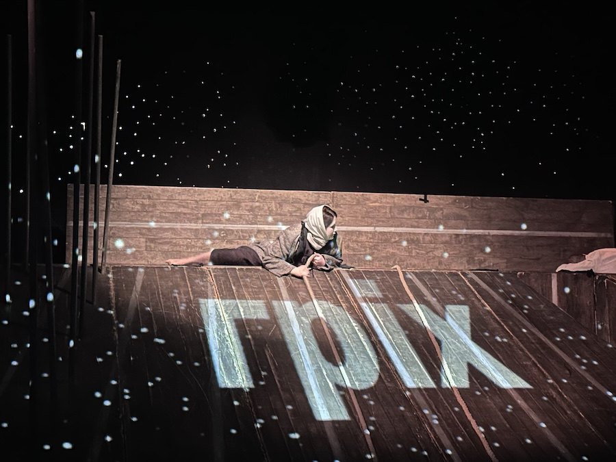 Вистава «Мортурі Салютанті»