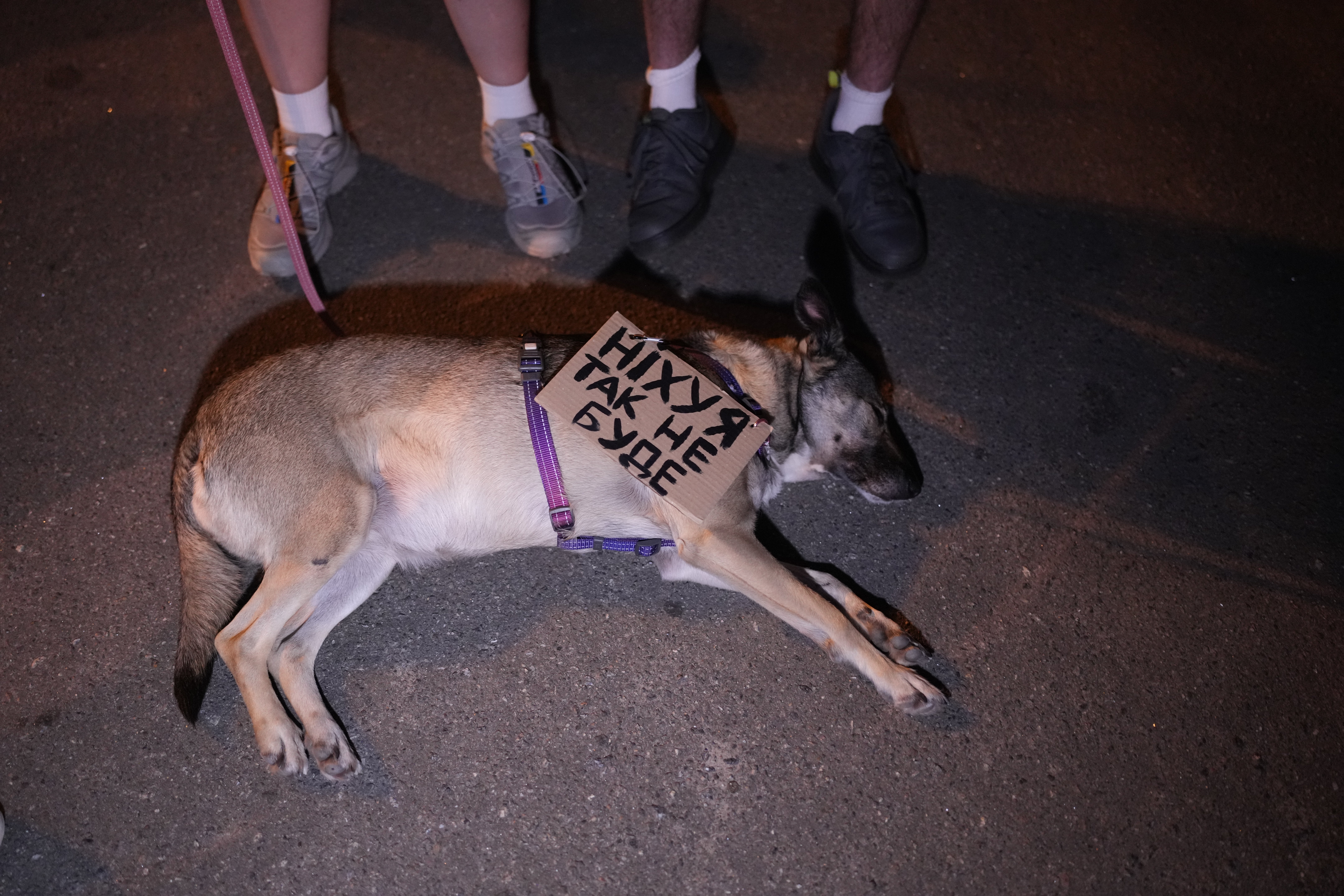 Акція протесту біля театру Франка у Києві 24 липня 2025 року